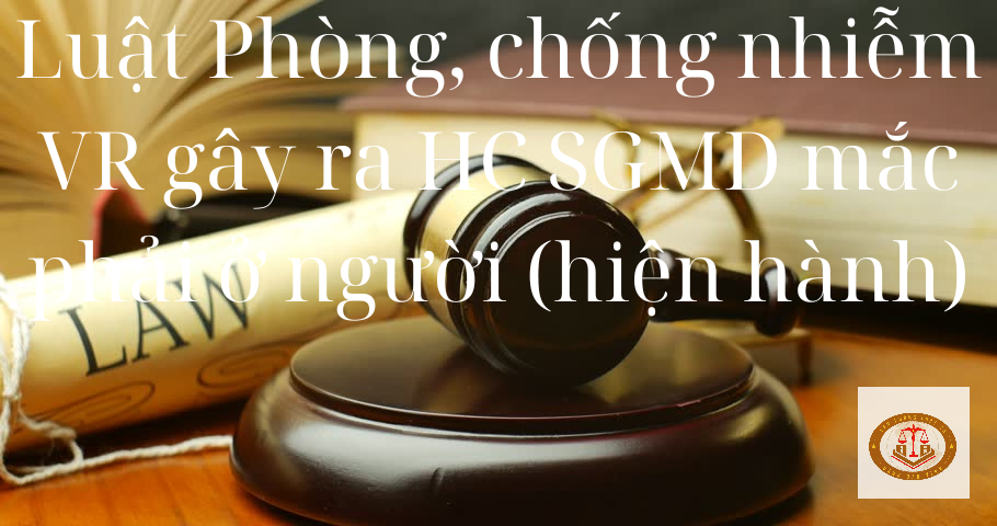 Luật phòng, chống nhiễm vi rút gây ra hội chứng suy giảm miễn dịch mắc phải ở người 2006 sửa đổi, bổ sung 2020