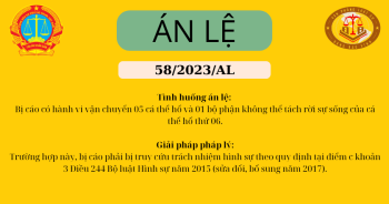 Án lệ số 58 - 2023