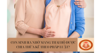 Con sinh ra từ nhờ mang thai hộ được chia thừa kế theo pháp luật của cha mẹ nhờ mang thai hộ hay không?