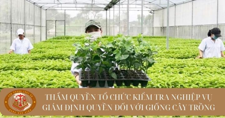 Cơ quan nào có thẩm quyền tổ chức kiểm tra nghiệp vụ giám định quyền đối với giống cây trồng ?