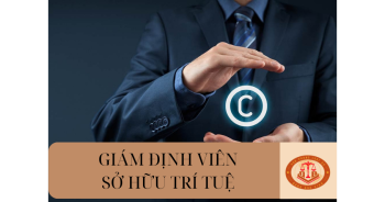 02 hình thức hoạt động giám định của giám định viên quyền tác giả, quyền liên quan như thế nào?