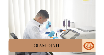 Ai có quyền tự mình yêu cầu giám định? Quyền tự yêu cầu giám định có được thực hiện sau khi Tòa án ra quyết định đưa vụ án ra xét xử sơ thẩm không?