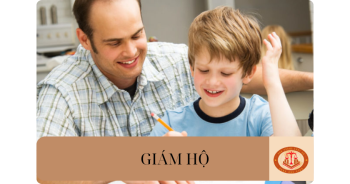 Trường hợp nào Tòa án sẽ chỉ định người giám hộ? Người giám hộ có những quyền nào